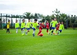 东京奥运盛,典或于,日盛大启幕,OD体育官网,OD,Sports,足球直播,篮球赛事,体育高清,NBA直播