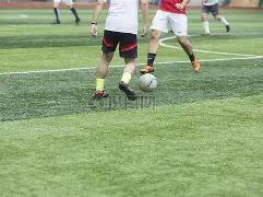 中小学生午,休新规出台,午睡质量能,OD体育官网,OD,Sports,足球直播,篮球赛事,体育高清,NBA直播