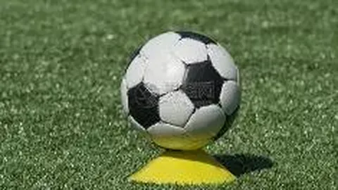 od体育 资讯 140556 awz